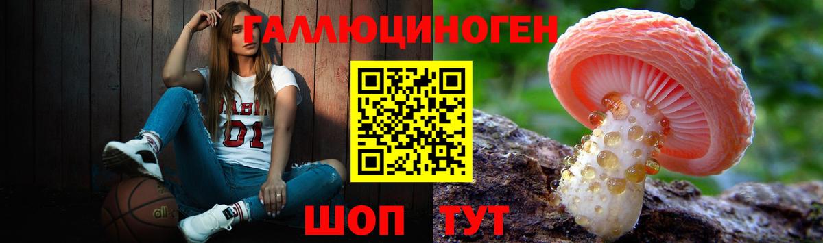 Галлюциногенные грибы MAGIC MUSHROOMS  Вход с VPN  Рязань 